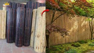 Bamboo fence furniture
