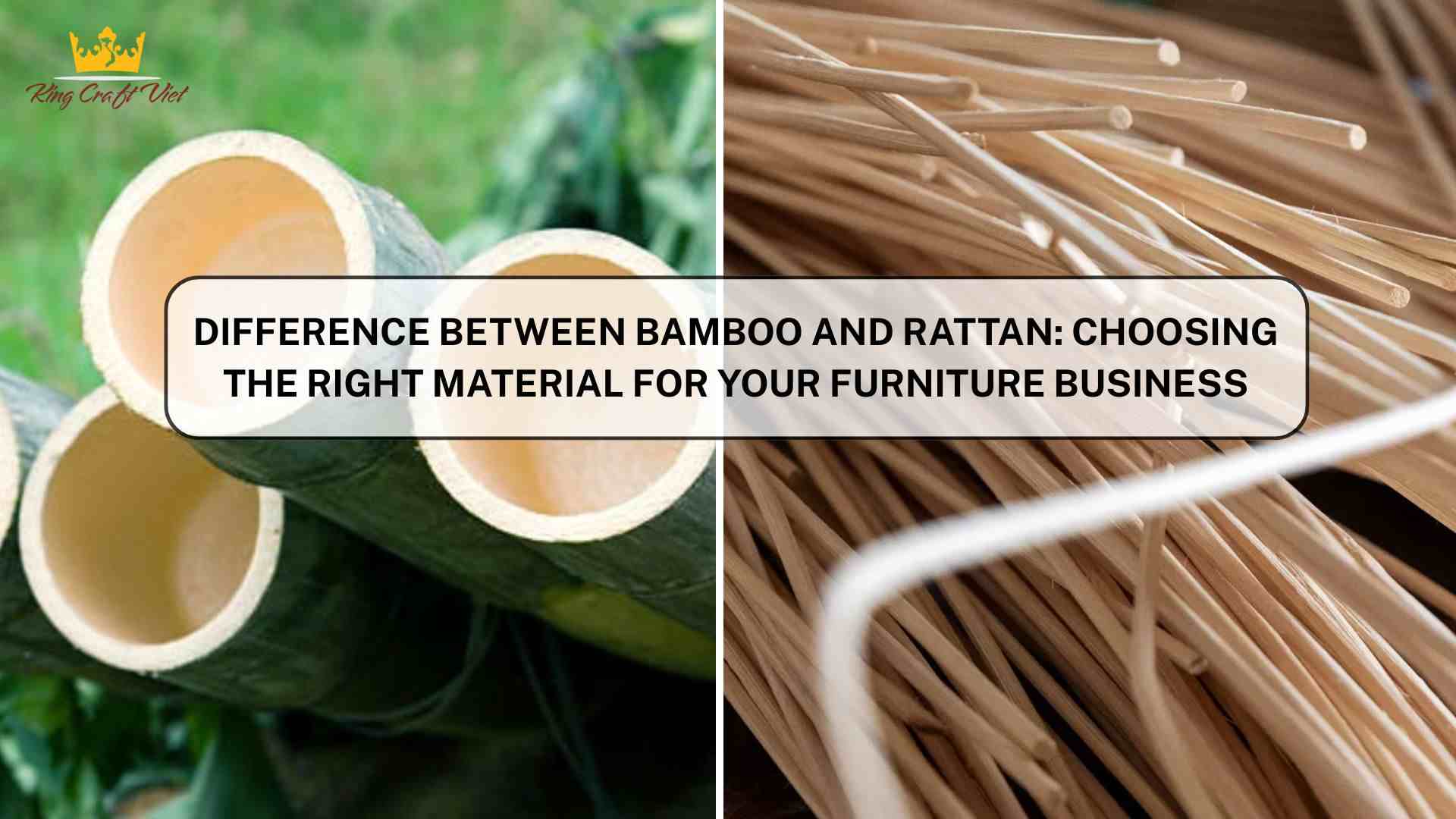 Difference Between Bamboo and Rattan